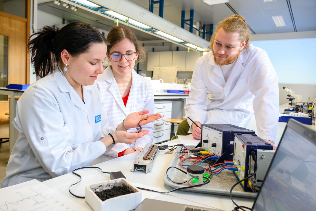 Einblicke in die Arbeitswelt: Freiwilliges Ökologisches Jahr im Gläsernen Labor (Foto: Peter Himsel/Campus Berlin-Buch GmbH)